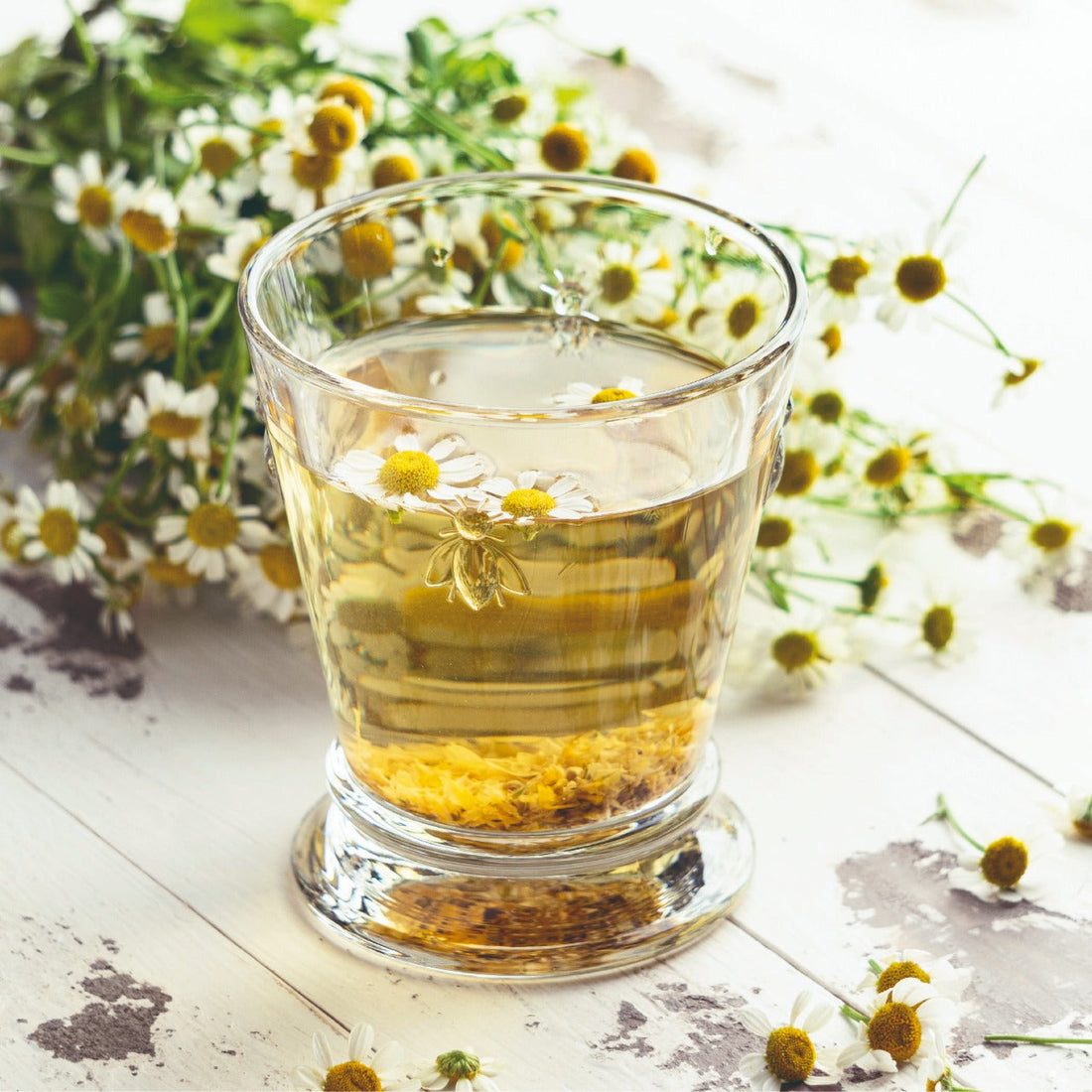 Manzanilla: la infusión dorada que ayuda con el estrés y la ansiedad