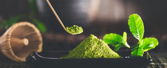 Matcha: el elixir verde y sus poderosos beneficios para cuerpo y mente