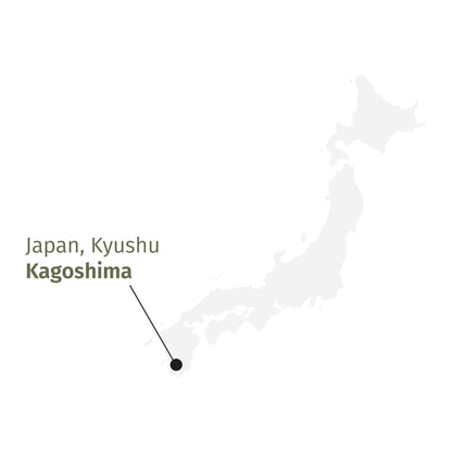 Té Verde - Gyokuro Mikoto BIO
