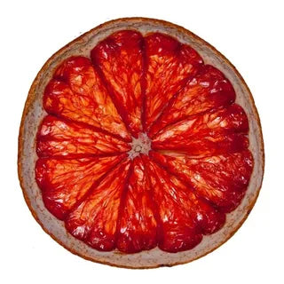 Dried Grapefruit Slices – Tea and Cocktails