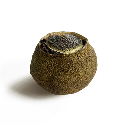 Té Pu Erh - Naranja Rellena Cosecha 2021 (Xiao Qing Gan)